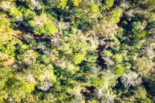 Lot 2 & 3 Portico, Livingston, TX 77351 - Photo 12