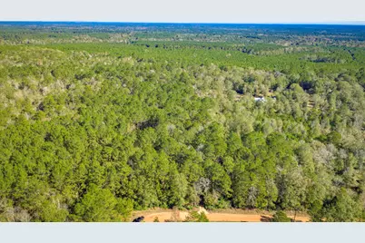 Lot 2 & 3 Portico, Livingston, TX 77351 - Photo 16