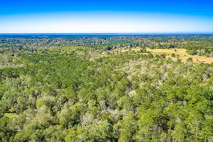 Lot 2 & 3 Portico, Livingston, TX 77351 - Photo 14