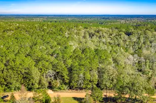 Lot 2 & 3 Portico, Livingston, TX 77351 - Photo 2