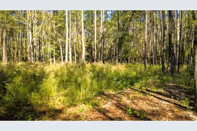 Lot 2 & 3 Portico, Livingston, TX 77351 - Photo 24