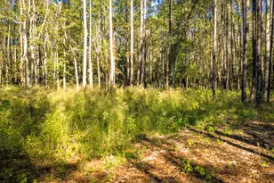 Lot 2 & 3 Portico, Livingston, TX 77351 - Photo 24