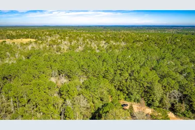 Lot 2 & 3 Portico, Livingston, TX 77351 - Photo 4