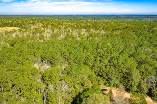 Lot 2 & 3 Portico, Livingston, TX 77351 - Photo 4