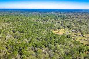 Lot 2 & 3 Portico, Livingston, TX 77351 - Photo 10