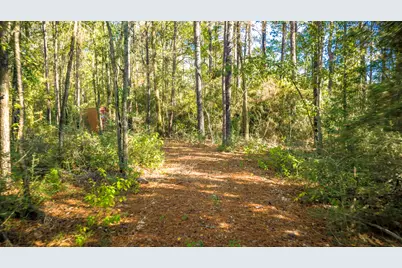 Lot 2 & 3 Portico, Livingston, TX 77351 - Photo 22