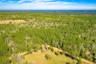 Lot 2 & 3 Portico, Livingston, TX 77351 - Photo 6