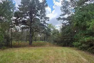 0 & 29699 McClellan Ct W, Hempstead, TX 77355 - Photo 1