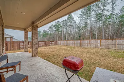 23722 Canolo Grove Lane, New Caney, TX 77357 - Photo 38