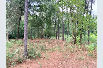 10012 Bentley Drive, Hockley, TX 77447 - Photo 8