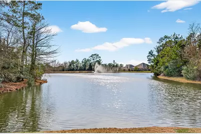 6014 Henry Hamlet Drive, Conroe, TX 77304 - Photo 46