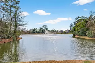 6014 Henry Hamlet Dr, Conroe, TX 77304 - Photo 46