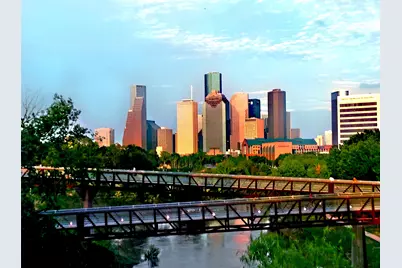 2602 Whitney Street, Houston, TX 77006 - Photo 16