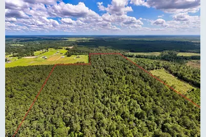 000 Private Road 51701, Kirbyville, TX 75956 - Photo 1