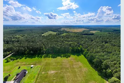 000 Private Road 51701, Kirbyville, TX 75956 - Photo 4