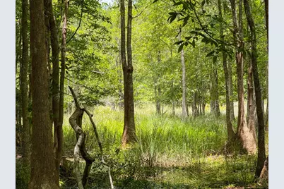 000 Private Road 51701, Kirbyville, TX 75956 - Photo 12