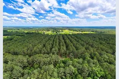 000 Private Road 51701, Kirbyville, TX 75956 - Photo 2