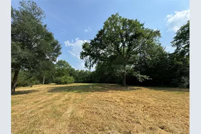 24077 Old Dobbin Plantersvil Road, Montgomery, TX 77316 - Photo 16