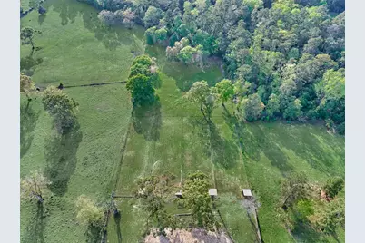 13125 Browder Traylor Road, Willis, TX 77378 - Photo 38