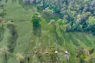 13125 Browder Traylor Rd, Willis, TX 77378 - Photo 38