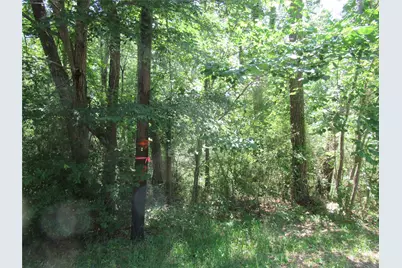 375 Noel, Livingston, TX 77351 - Photo 2