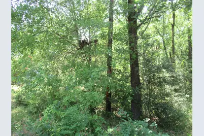 375 Noel, Livingston, TX 77351 - Photo 8