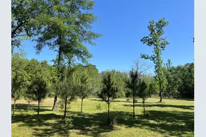 215 Garden West Road, Conroe, TX 77304 - Photo 10