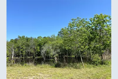 215 Garden West Road, Conroe, TX 77304 - Photo 18