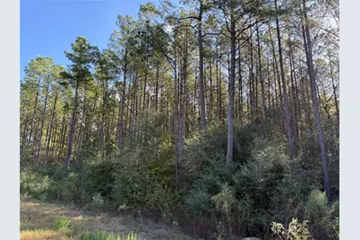 15895 Ridge Oak Road, Willis, TX 77378 - Photo 6