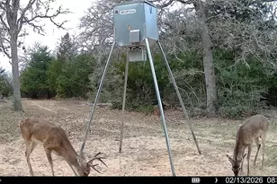 Tbd County Road 132, Hallettsville, TX 77964 - Photo 26