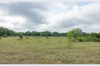 Tbd County Road 132, Hallettsville, TX 77964 - Photo 8
