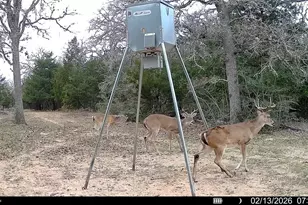 Tbd County Road 132, Hallettsville, TX 77964 - Photo 22