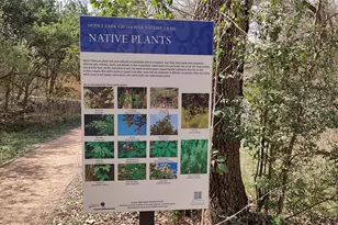 1703 N Park Street N, Brenham, TX 77833 - Photo 16