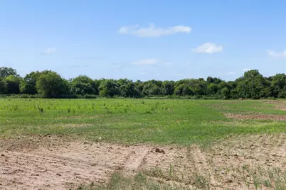 210.6 Ac Black Bridge Road, Calvert, TX 77837 - Photo 14