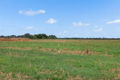 210.6 Ac Black Bridge Road, Calvert, TX 77837 - Photo 18