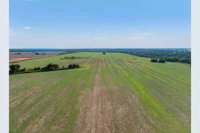 210.6 Ac Black Bridge Road, Calvert, TX 77837 - Photo 6