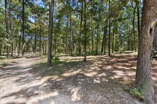 188 Camp Rd, Trinity, TX 75862 - Photo 22