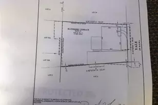 4123 Yale St, Houston, TX 77018 - Photo 8