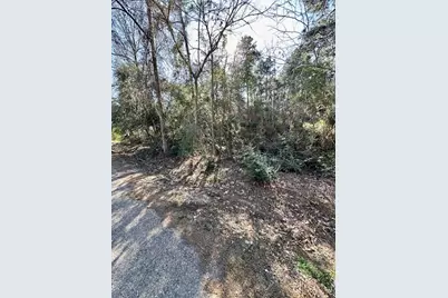 Tbd Gazelle, Onalaska, TX 77360 - Photo 4