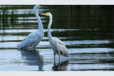 633 Quintana Roo Place, Seabrook, TX 77586 - Photo 22