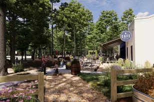 9396 Cordial Circle, Montgomery, TX 77316 - Photo 16