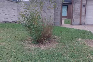 8151 Misty Ridge Ln, Houston, TX 77071 - Photo 4