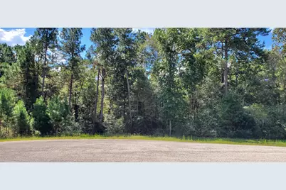 N/A Cougar Court, Huntsville, TX 77340 - Photo 1