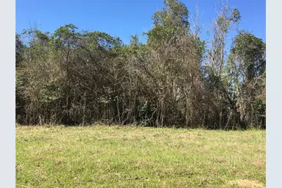 Lot 8 County Road 175, Garrison, TX 75946 - Photo 6