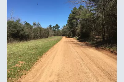 Lot 8 County Road 175, Garrison, TX 75946 - Photo 1