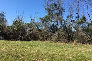 Lot 8 County Road 175, Garrison, TX 75946 - Photo 1