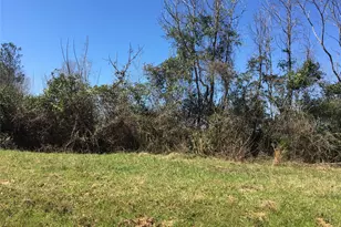 Lot 8 County Road 175, Garrison, TX 75946 - Photo 1