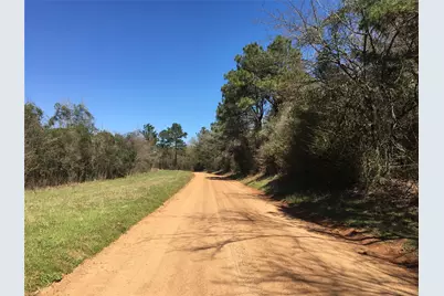 Lot 8 County Road 175, Garrison, TX 75946 - Photo 2