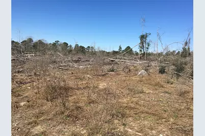 Lot 8 County Road 175, Garrison, TX 75946 - Photo 4