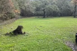 3307 Hamilton Cir, Conroe, TX 77304 - Photo 2